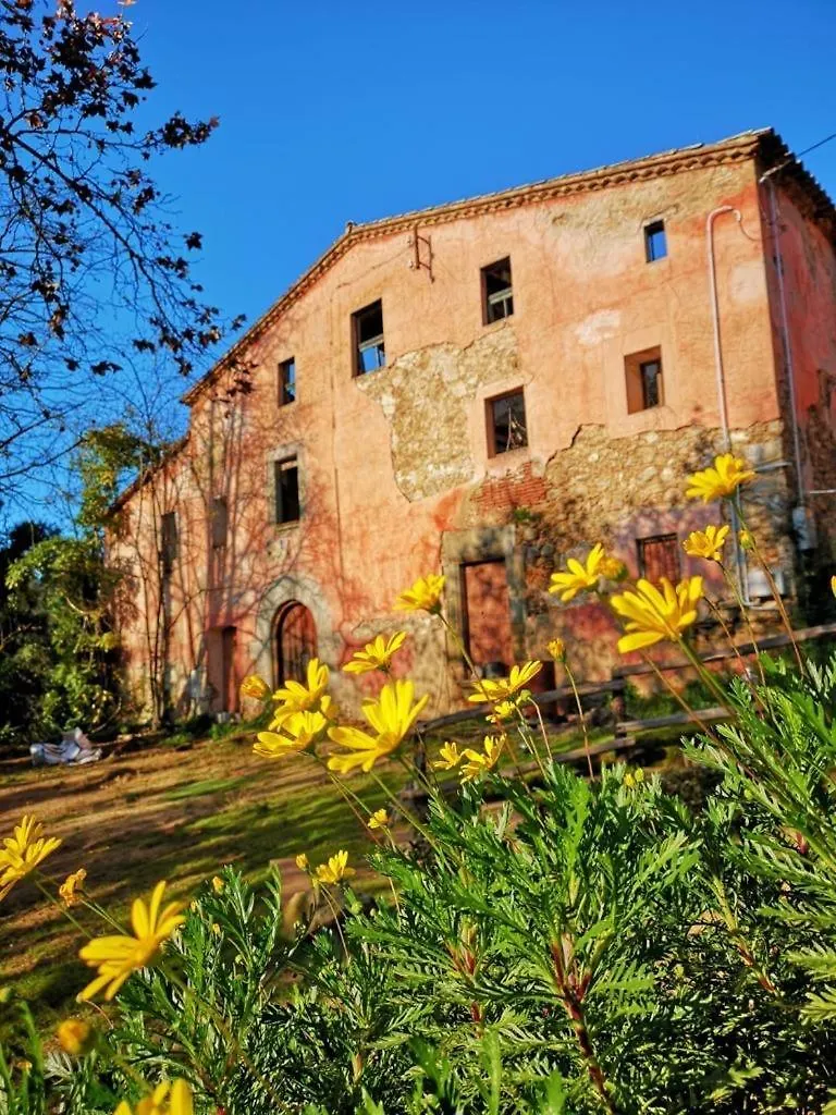 Villa Hidden Garden Haven For 7 People Vallromanes 0*,